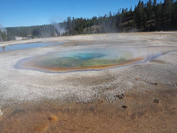istock Beauty Pool in Yellowstone national park 2205511920