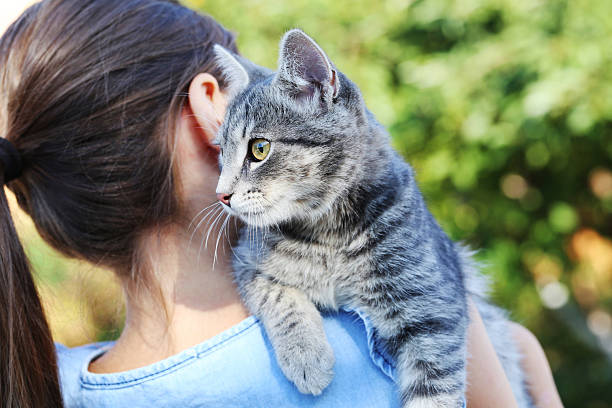 istock Beautiful grey cat on female hands 2205512645