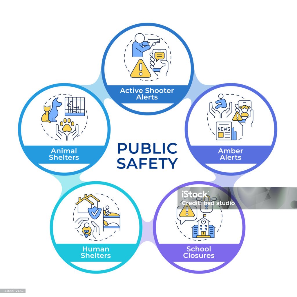 Safety Issue Resolution Flowchart Public Safety Infographic Circles Flowchart Stock Illustration ...