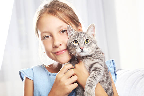 istock Beautiful grey cat on female hands 2205512946