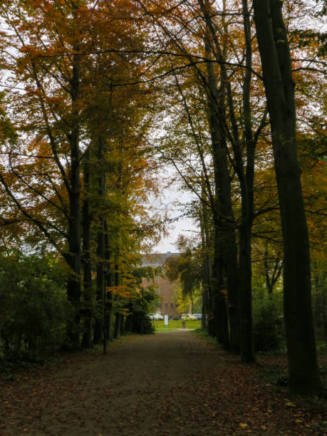 istock Colorful autumn leaves 2205515793