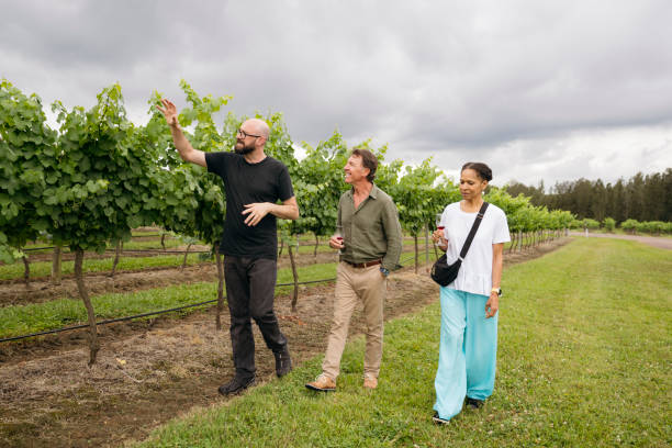 istock Senior wine tasters getting tour of vineyard 2205515857