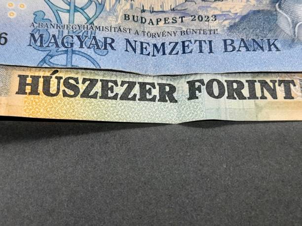 istock Hungarian forint banknotes with gray background. 2205516984