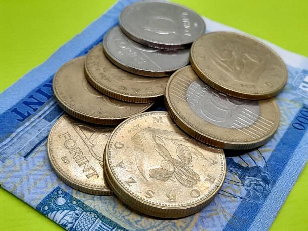 istock Hungarian forint banknote and coins with green background. 2205517137