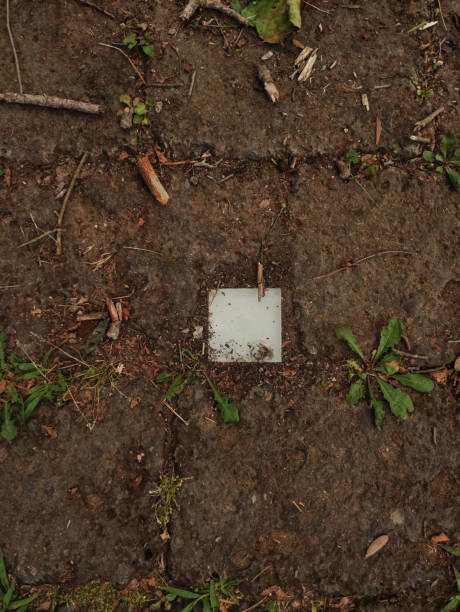 istock Light led square on weathered pathway tile surrounded by dirt and weeds, revealing aging process in coastal italian landscape near bibione 2205518102