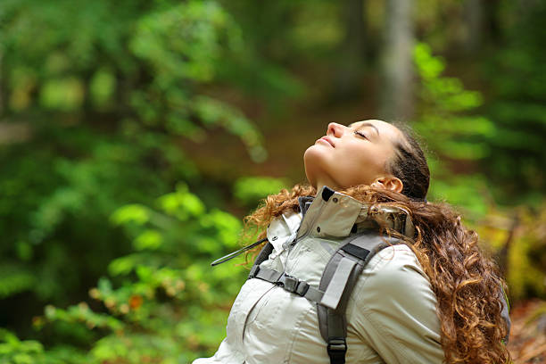 istock Trekker resting and breathing fresh air in nature 2205518725
