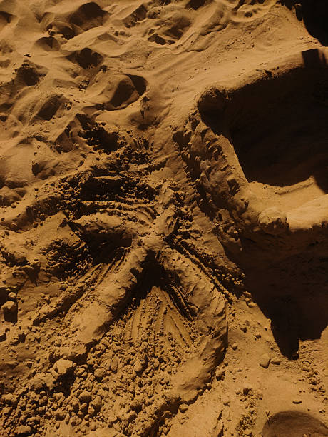 Sandy artwork featuring delicate footprints along shoreline during summer sunlight, revealing artistic craftsmanship at bibione beach, italy