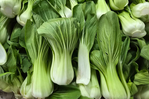 istock Fresh Bok Choy Stacked in a Market Display 2205520984