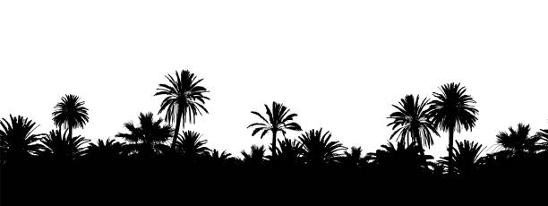 ilustrações de stock, clip art, desenhos animados e ícones de seamless vector landscape banner with palm tree silhouettes on white background. - palmeira