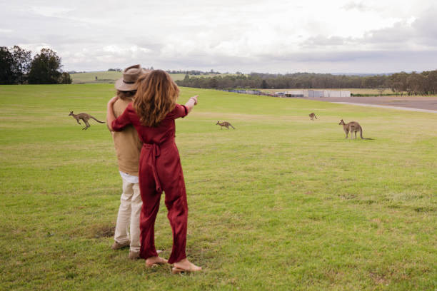 istock Couple watching kangaroos in Hunter Valley 2205525482