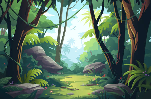 Beautiful Jungle Glade Vector illustration of a beautiful jungle/rainforest glade with trees, palm trees, rocks, bushes, lianas and flowers. rainforest stock illustrations