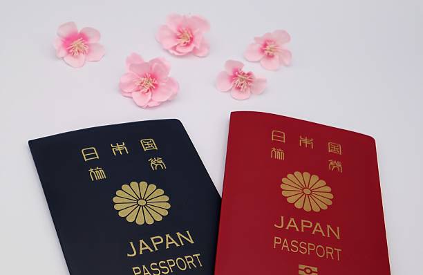 istock Two types of Japanese passports 2205527544