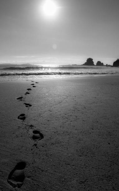 istock Footprints lead across a sandy beach towards the ocean under a bright sun 2205531948