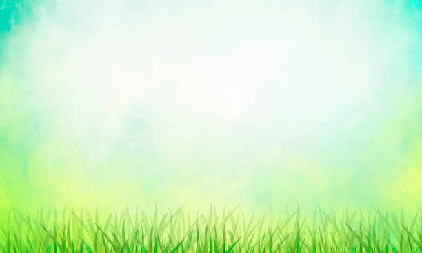 istock Abstract Watercolor Background - Blue Sky, Clouds, Grass - Spring and Summer 2205532315