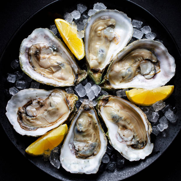 istock Fresh oysters with lemon on crushed ice. Dark background. Close up. Top view. 2205532830