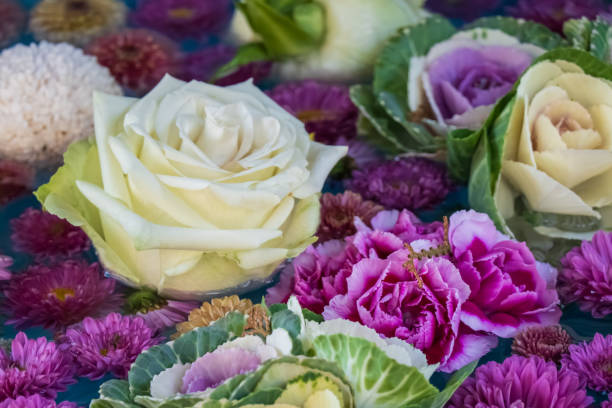 This photograph captures a serene arrangement of white and pink roses, accompanied by ornamental cabbage, floating in water. The flowers and cabbage create a harmonious blend of colors and textures, with the soft petals of the roses contrasting with the textured leaves of the cabbage. The water adds a reflective quality, enhancing the beauty of the arrangement.