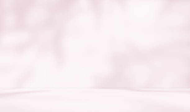 istock Empty brownish with pink undertone room studio with sunlight effect shadow for product presentation. 2205536979