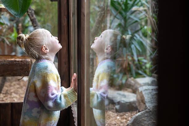 istock Curious Child at the Zoo Enchanted by Wildlife 2205538964