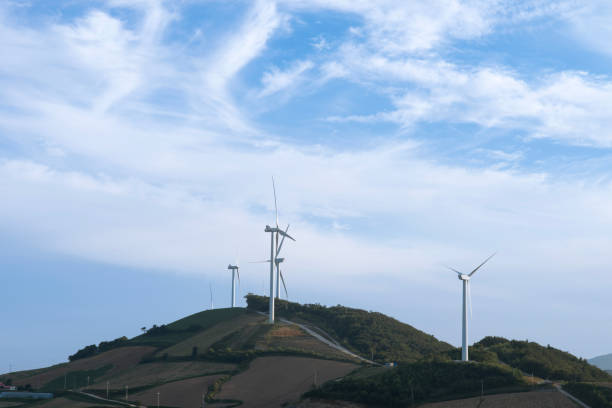 istock wind turbines and napa cabbage farm on the mountain 2205539267