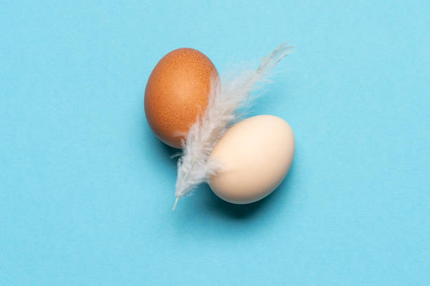 istock Two colorful farm eggs on blue background 2205554999