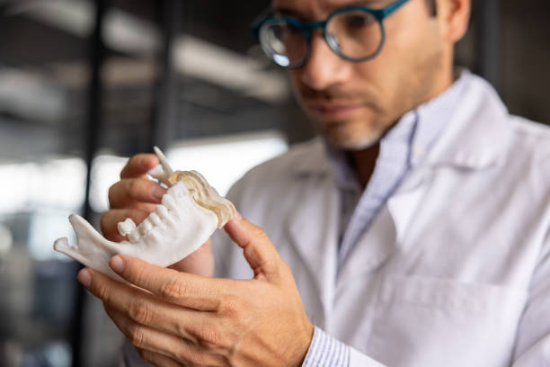 3D designer looking at a dental mold at a laboratory