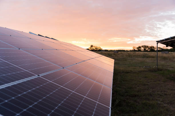 istock Sunset over Solar Panels in Texas Field 2205558808
