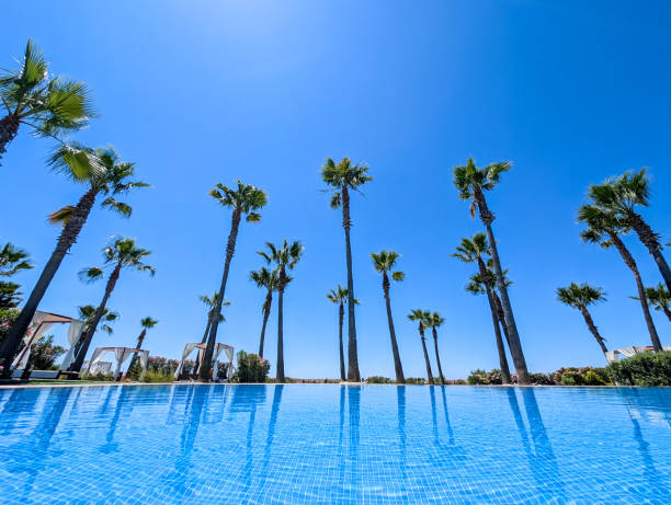 Serene swimming pool mirroring palm trees against vibrant blue sky, capturing summer tranquility in Algarve, Portugal with luxurious tropical resort ambiance