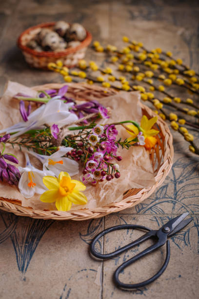 istock Spring flowers in a basket with garden scissors 2205560512