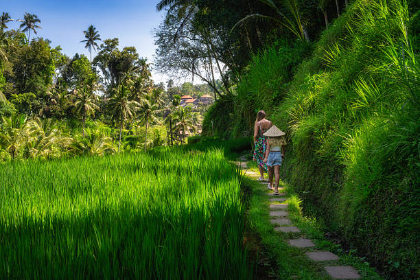istock Explore Balis lush rice terraces with a child, enjoying breathtaking views in this beautiful green paradise 2205563271