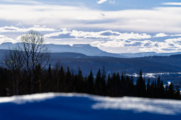 Winter landscape in mountains in frost sunny weather. Coniferous forest with snow covered, view of mountain called Camel, beautiful nature of Sheregesh ski resort