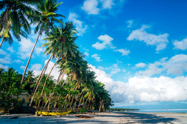 White sand beach at Siquijor