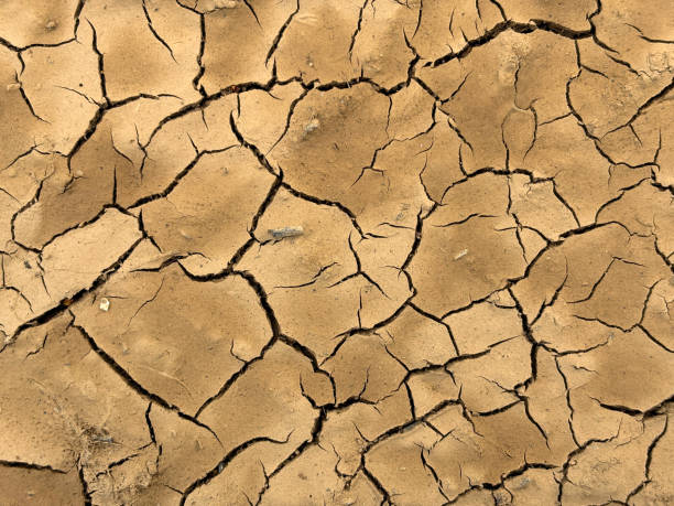 istock Dry and cracked soil texture. Cracked earth soil background 2205573467