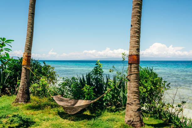 Serene beachside view featuring a cozy hammock tied between palm trees, overlooking turquoise waters and lush greenery on the picturesque island of Siquijor in the Philippines.