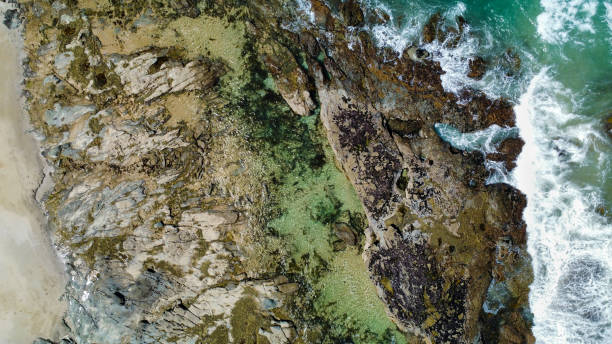 istock A rocky beach, seen from above 2205577733