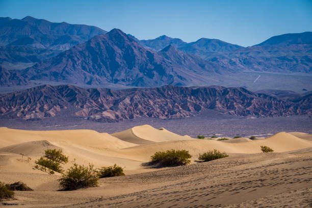 istock Mesquite Flat Sand Dunes Death Valley 2205578924