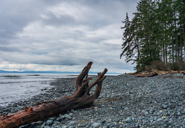 istock Jordon River Beach Vancouver Island 2205579109