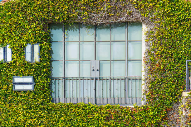 Modern sustainable row houses in the city