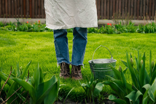 cropped view on gardener near a tin bucket