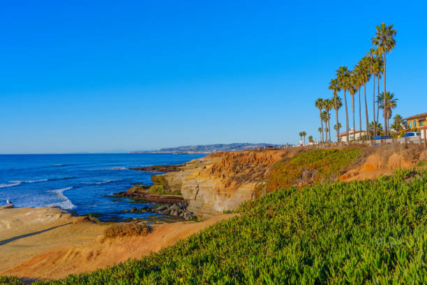 istock Scenic Coastal View of San Diego with Palm Trees and Cliffs 2205581110