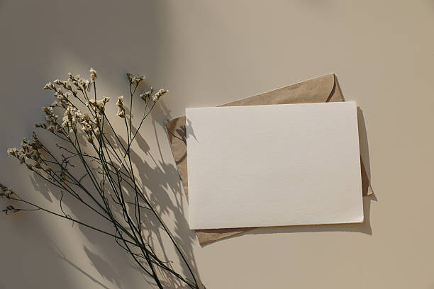 istock Empty horizontal greeting card, invitation mockup, craft envelope in sunlight, beige table background. Dry limonium flowers. Long shadows. Web banner. Wedding, birthday template. Flat lay, top view. 2205584580