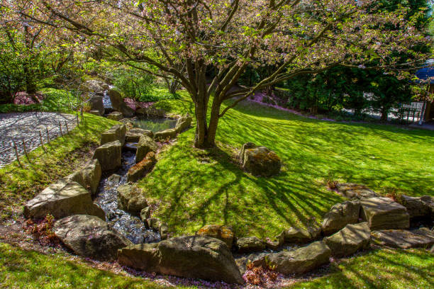 istock Stream in Japanese garden - shiny in sunbeams 2205585268