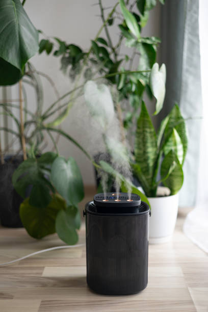istock Diffuser, apartment with moisturizer. Modern humidifier at home, moistens dry air surrounded by indoor Monstera houseplant. Humidification, plant care, comfortable living conditions concept. 2205585339