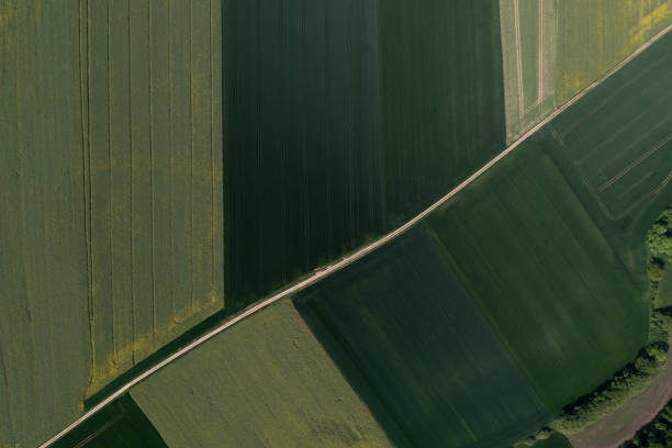 istock Aerial View of Agricultural Fields 2205589923