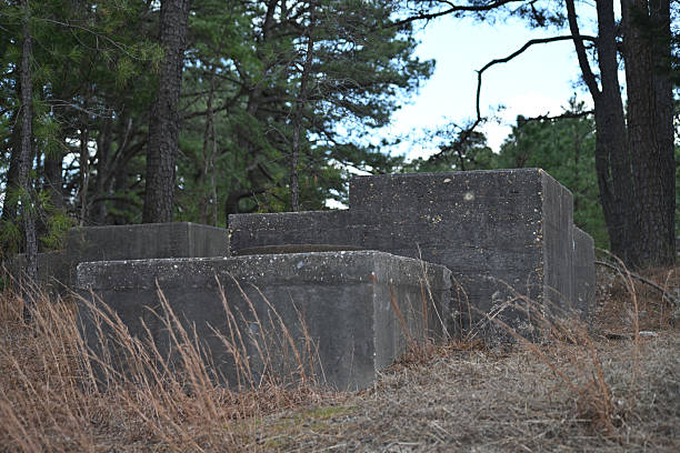 istock Square weathered concrete retaining structures in the woods with pine trees and grass 2205590188