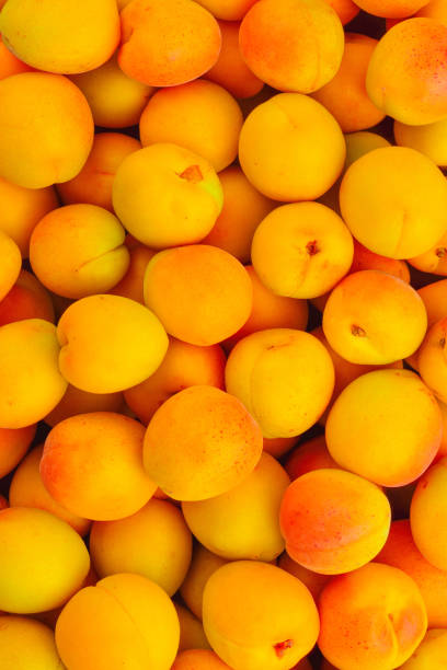 Ripe juicy orange apricots fruit background.