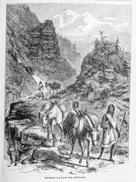 Bringing Ice From the Mountain Illustration from Harper's New Monthly Magazine 1865 Natives of Mexico use mules to carry ice down from the mountains surrounding the Popocatépetl volcano in Central Mexico. mexican mule stock illustrations