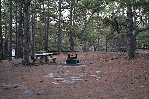istock Picnic table and fire pit in an empty campground in the woods during fall 2205593137
