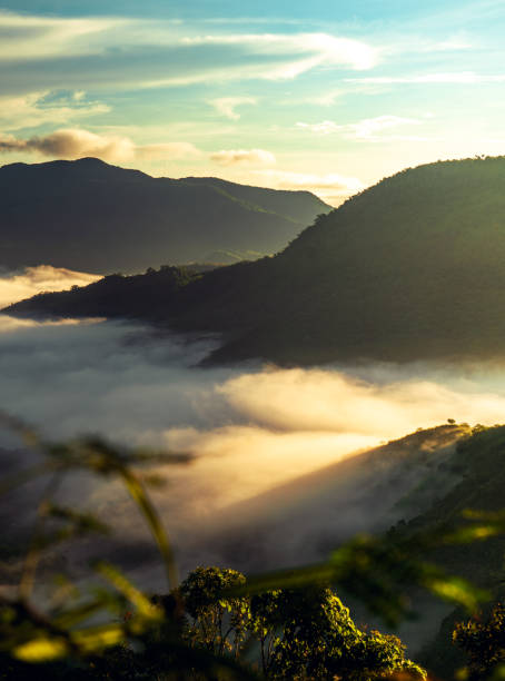 istock A mountain range surrounded by a sea of clouds during sunset at treasure mountain, tanay, philippines. 2205594571