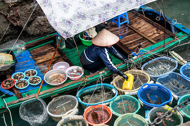 Can Tho province, Vietnam - 26 Jan 2025: Aerial view of Cai Rang floating market, Can Tho, Vietnam. Tourists, people buy and sell food, vegetable, fruits on boat, ship at river market in Tet Holiday.