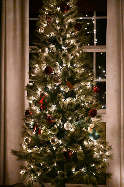 istock Decorated Christmas tree with lights in front of window 2205595839